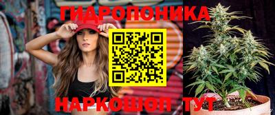 ECSTASY Кудрово