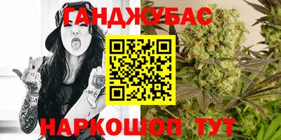 ECSTASY Кудрово