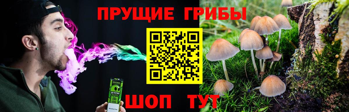 дарнет шоп  Псилоцибиновые грибы GOLDEN TEACHER  Галлюциногенные грибы Psilocybine cubensis  Вход с VPN  Вязники 