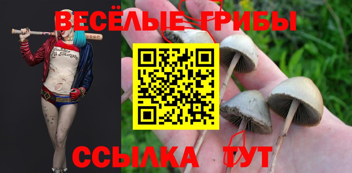 Псилоцибиновые грибы MAGIC MUSHROOMS Вязники